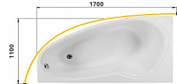 Карниз для ванны  дуговой 170x110 